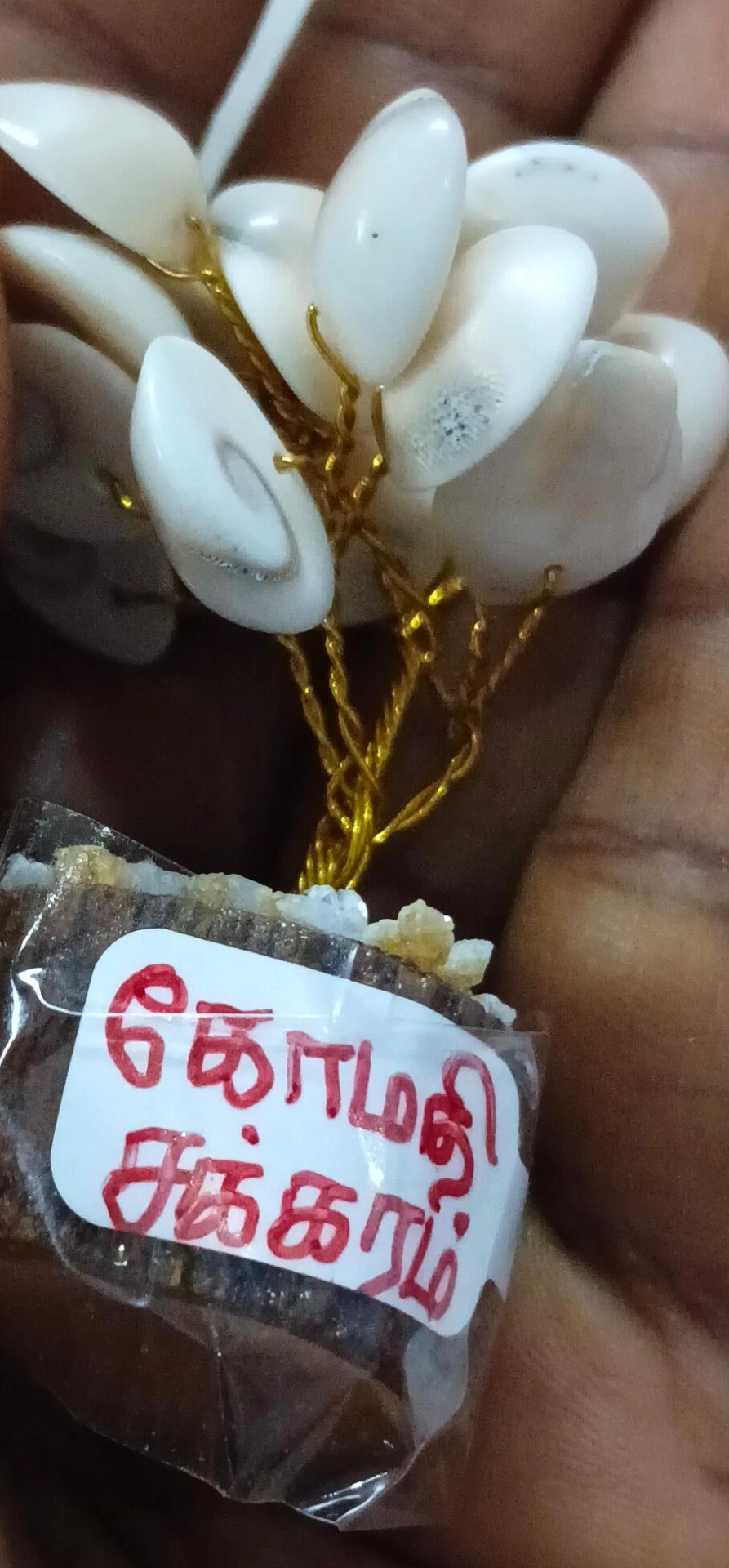 Main Product Image
